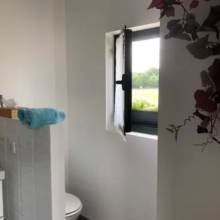 Gite-grand Contemporain Proche Toulouse Dans Domaine Equestre *