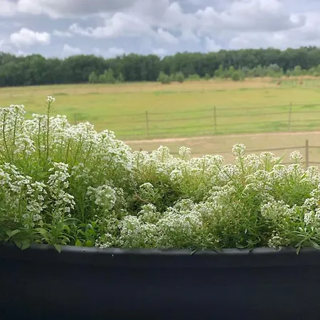 Apartment Gite-grand Contemporain Proche Toulouse Dans Domaine Equestre