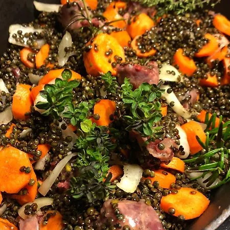 Apartment Gite-grand Contemporain Proche Toulouse Dans Domaine Equestre