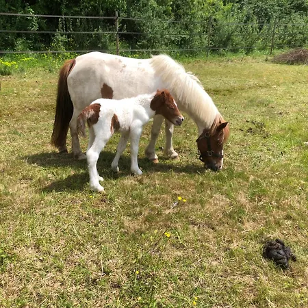 Gite-grand Contemporain Proche Toulouse Dans Domaine Equestre Apartment *