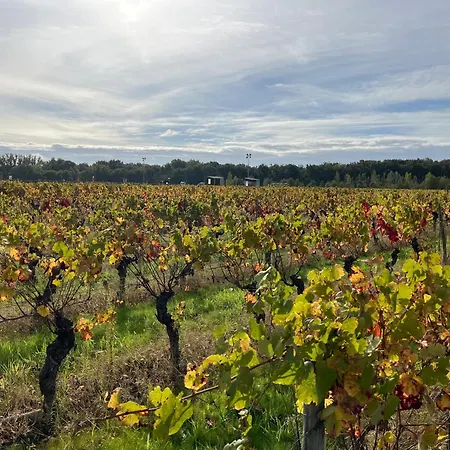 Gite-grand Contemporain Proche Toulouse Dans Domaine Equestre Bouloc (Haute-Garonne)