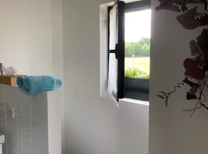 Gite-grand Contemporain Proche Toulouse Dans Domaine Equestre *