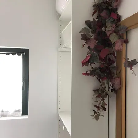 Apartamento Gite-grand Contemporain Proche Toulouse Dans Domaine Equestre