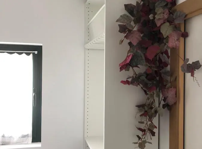 Apartament Gite-grand Contemporain Proche Toulouse Dans Domaine Equestre