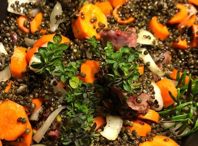 Apartament Gite-grand Contemporain Proche Toulouse Dans Domaine Equestre